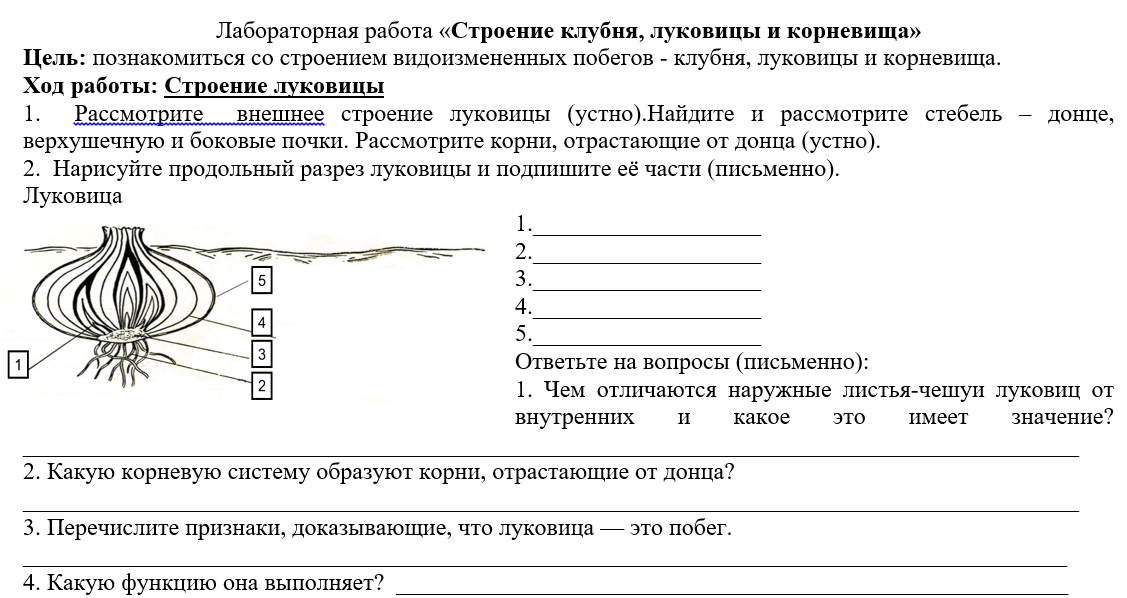 Конспект по воде биология 6 класс