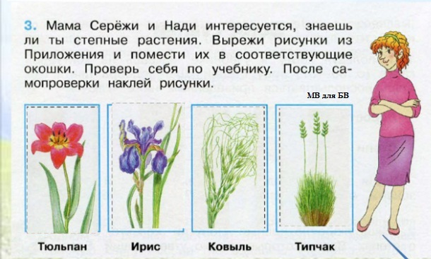 А это задание подготовил для тебя папа сережи и нади узнай животных степи по рисункам