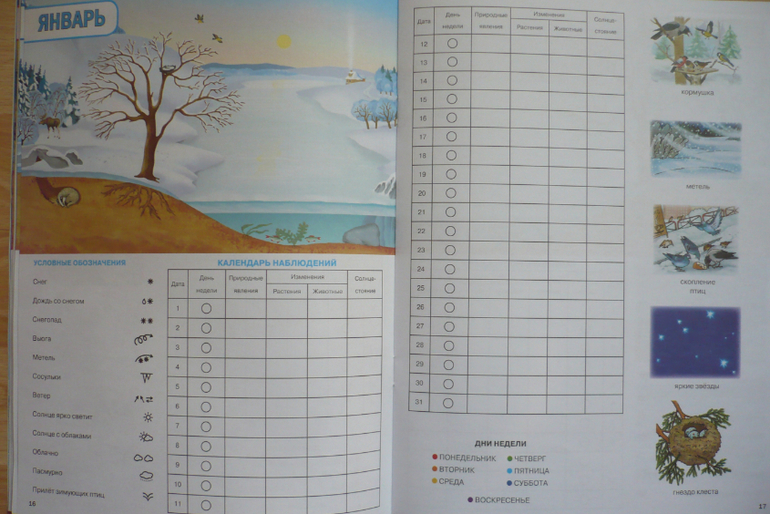 Наблюдение за погодой в подготовительной группе. Календарь наблюдений за природой. Дневник наблюдений за природой. Дневник наблюдений за погодой. Календарь наблюдений в природе.