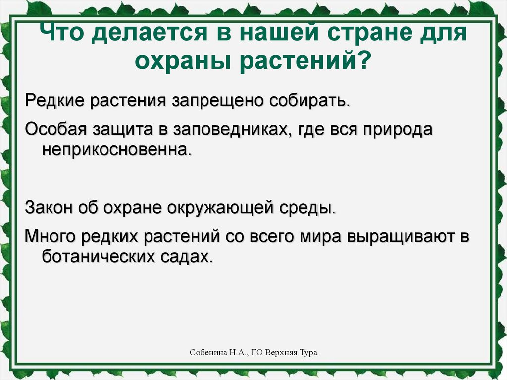 Мир растений презентация 3 класс окружающий мир плешаков презентация