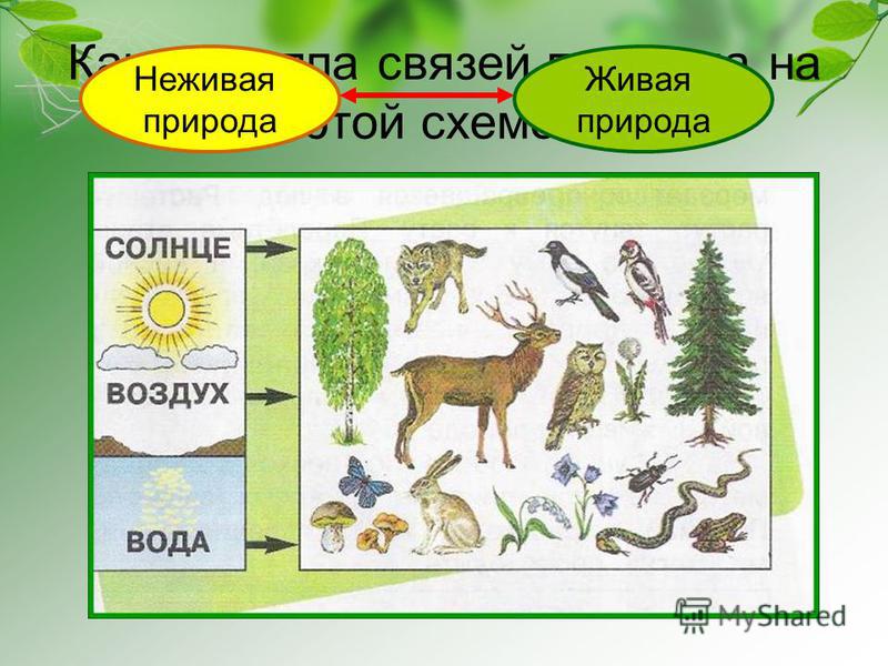 Нарисуй схему природа 2 класс окружающий мир