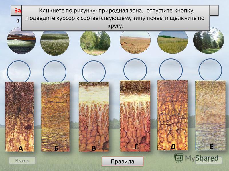 Разнообразие почв 4. Типы почв. Зоны почв России.