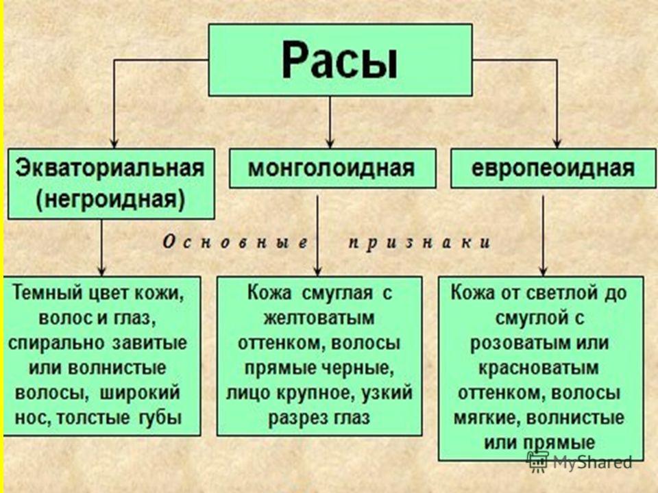 Расы европеоидная монголоидная экваториальная. Человеческие расы таблица. Человеческие расы география 7 класс. Таблица человеческие расы география. Большие расы человека таблица.