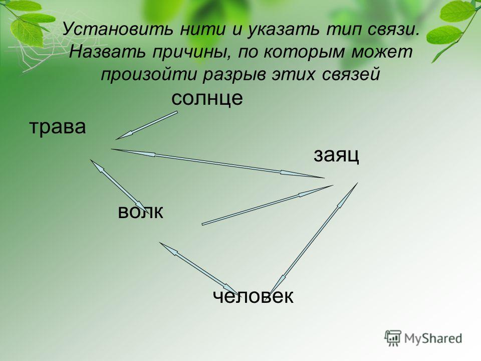 Невидимые нити в весеннем лесу 2 класс окружающий мир примеры схем