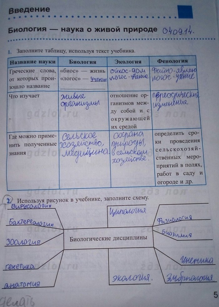 Работа с моделями схемами таблицами биология 6 класс