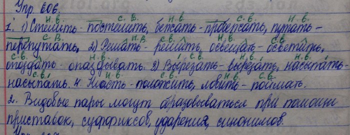 Упр 606. Русский язык 5 класс номер 606. Русский язык 5 класс номер 98. Русский язык 5 класс ладыженская номер 606. Номер 98 русский язык 5 класс Разумовская.