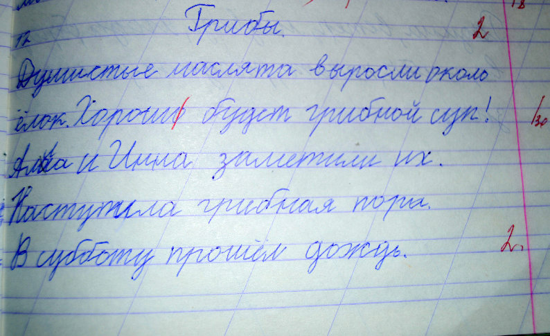 Спиши оформляя. Домашнее задание по русскому языку. Списать текст. Тетрадь для списывания.