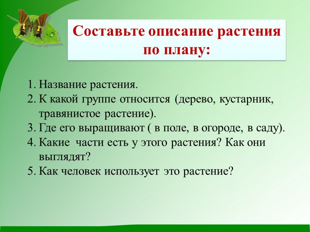 Составить бо. План рассказа о растении. План описания растения. План рассказа о растении 2 класс. План рассказа о редком растении.