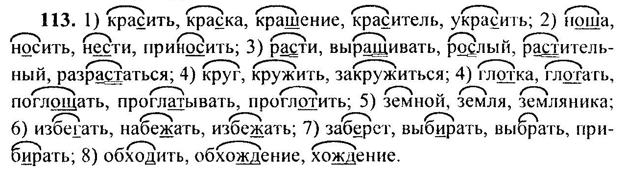 Русский язык пятый класс номер 113