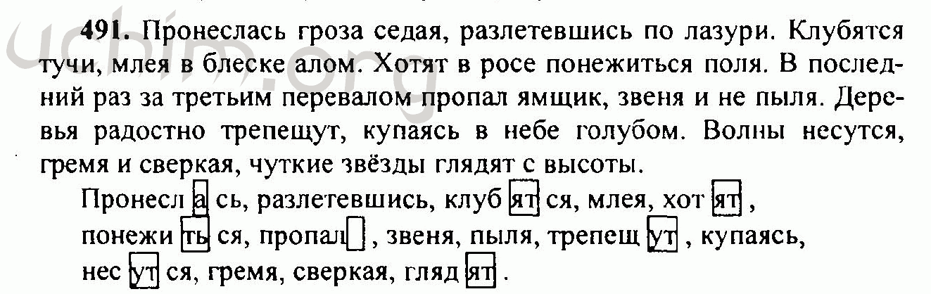 Русский язык шестой класс упражнение 491. Русский язык 6 класс 2 часть упражнение 491. Русский язык 6 класс ладыженская упражнение 491. Пронеслась гроза Седая разлетевшись по лазури. Гдз 491 русский язык гдз.