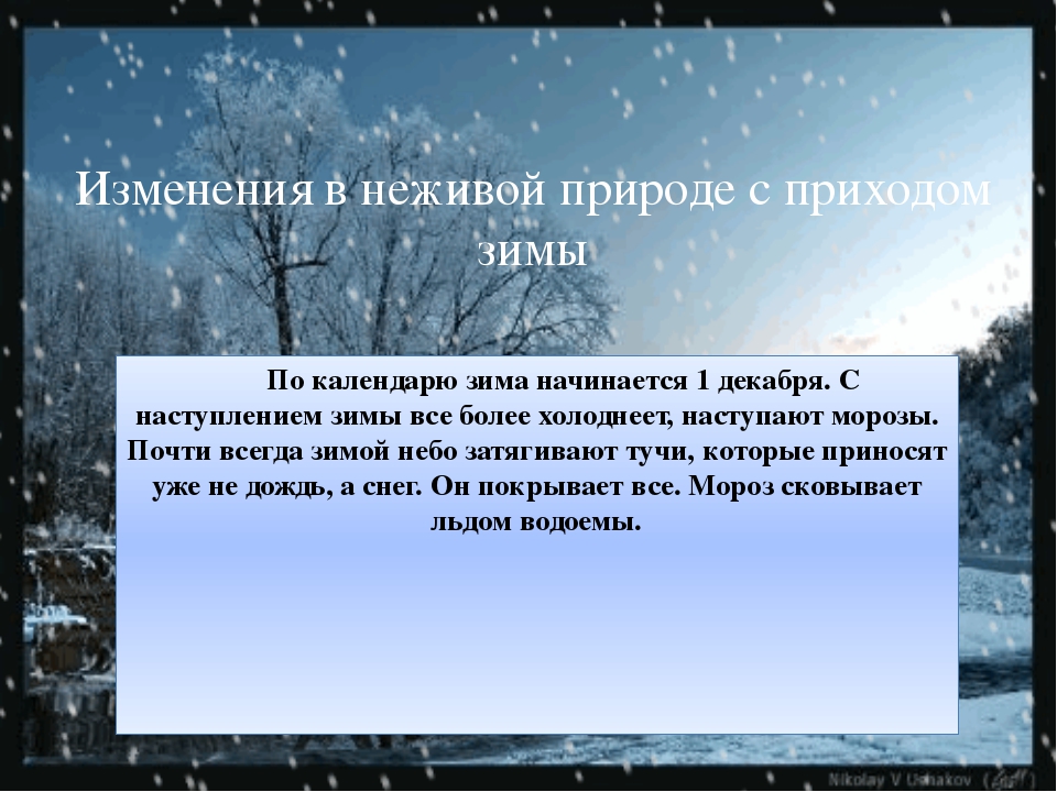 Природные изменения зимой. Зима изменения в неживой природе. Зимние изменения в живой и неживой природе. Наблюдения в живой природе зимой. Изменения в неживой природе зимой 3 класс.