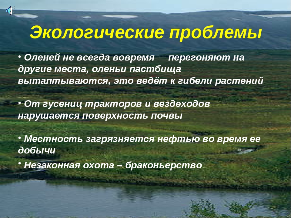 Основной экологической проблемой в тундре является. Экологические проблемы тундры. Экологические проблемы в ту. Экологическая ситуация в тундре. Экологические проблемы тундры в России.