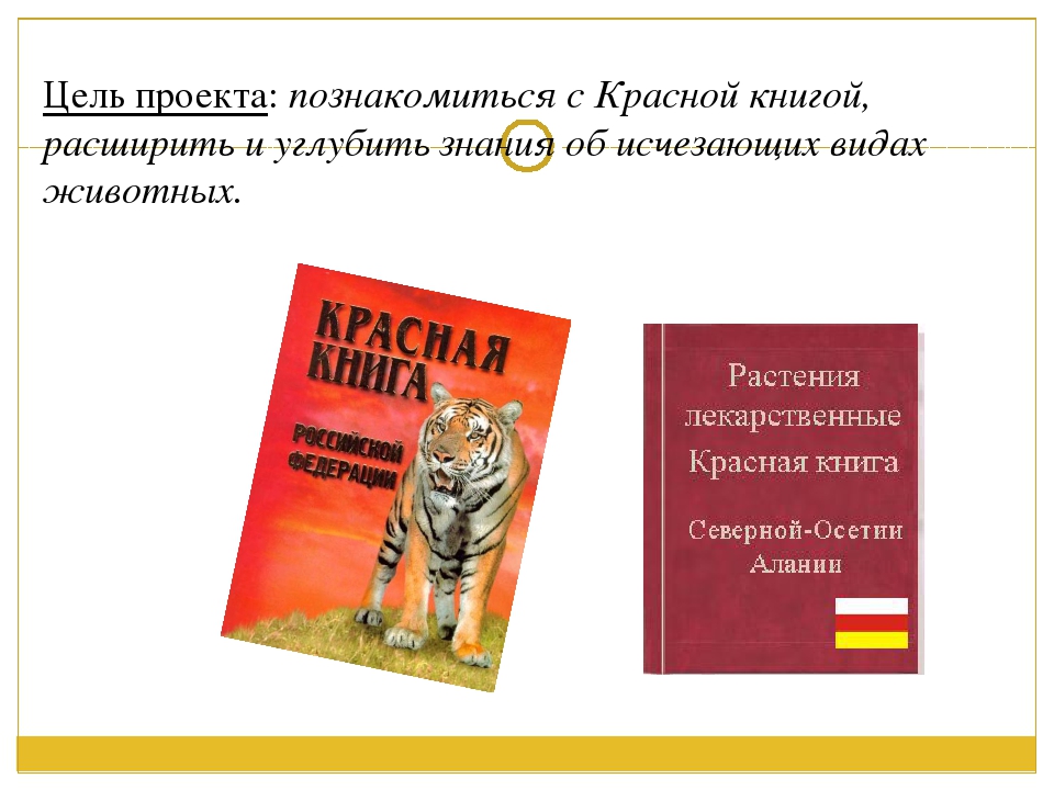 Красная книга красные книги. Цель проекта красная книга России 4 класс окружающий мир. Цель красной книгиросси. Проект по окружающему миру 4 класс красная книга России цель. Цель красной книги.