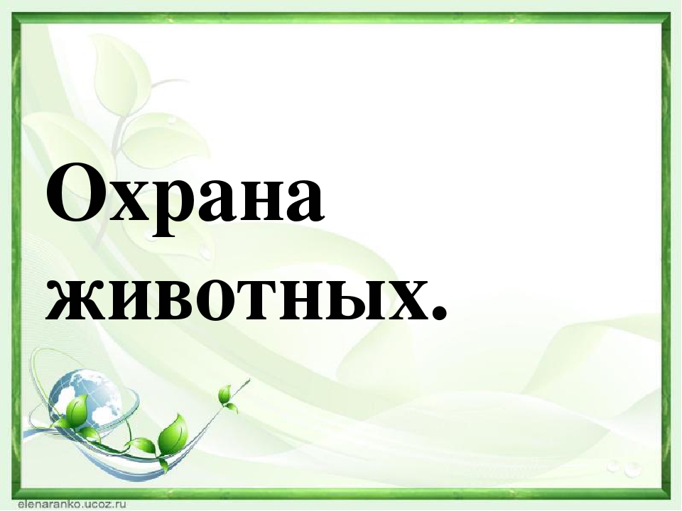 Проект охраняемые животные