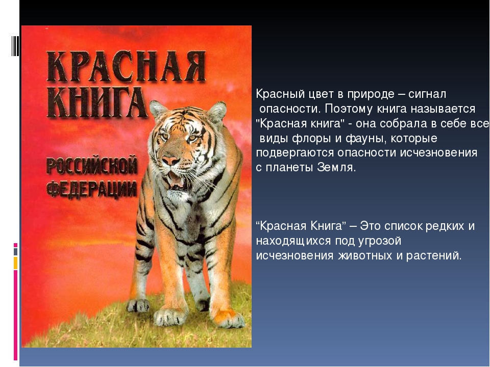 Проект на тему красная книга россии 8 класс