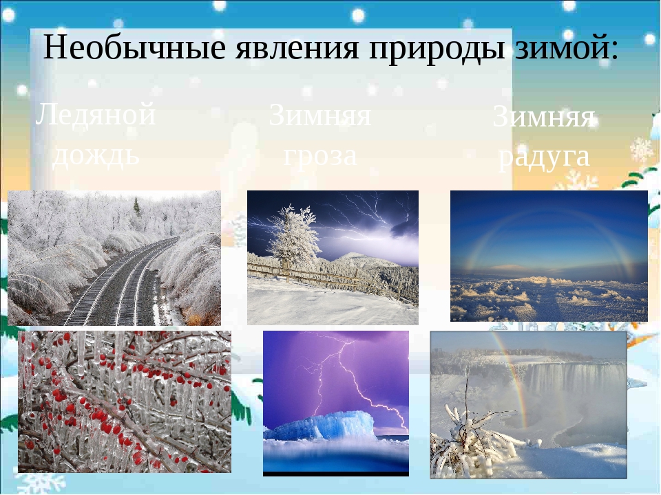 Зима явления. Природные явления зимой. Иллюстрации зимних явлений природы. Зимние явления природы для детей. Зимние природные явления в живой природе.