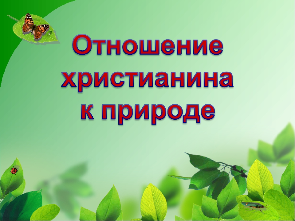 Проект отношение христианина к природе 4 класс