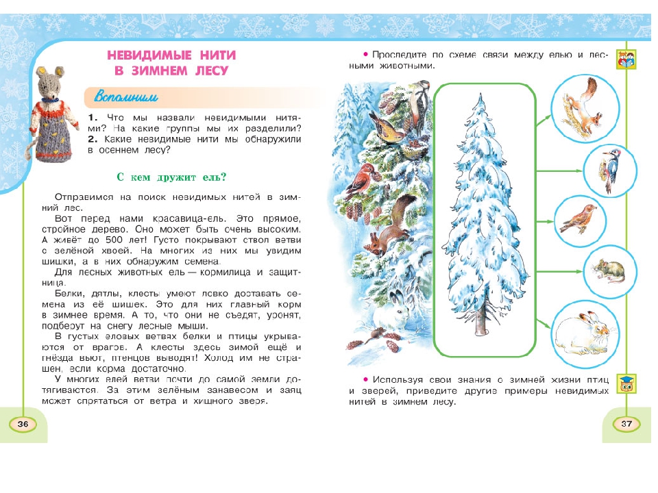 Невидимые нити в осеннем лесу 2 класс презентация перспектива