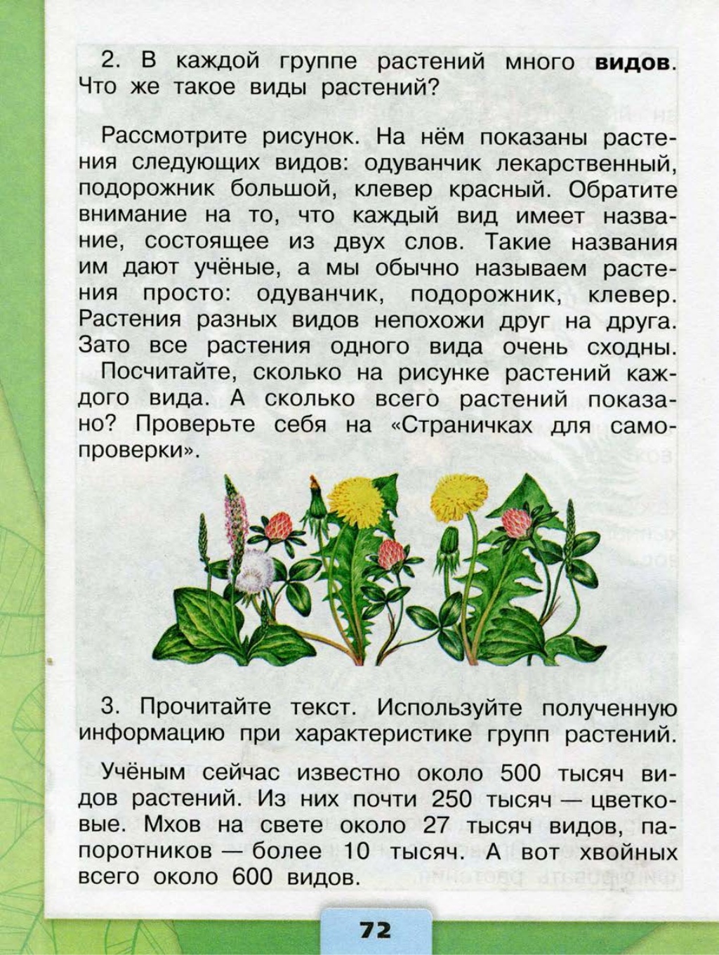 Окружающий 3 класс страница 72. Учебник зеленые страницы. Окружающий мир зеленые страницы. Растения в классе окружающий. Зелёные страницы 3 класс растения.