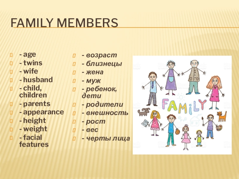 Урок 10 класс семья. Презентация Family members. A member of the Family. Family members 6 класс.